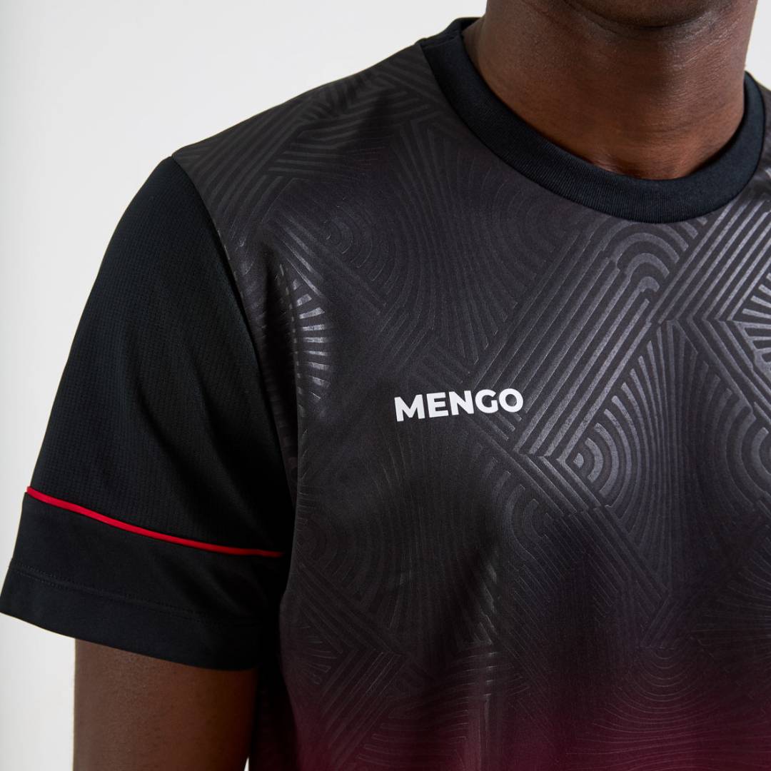 BRZ-FLA-CANASTRA -1-